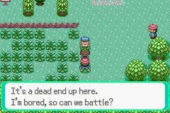 [Image: The route to the right of Rustboro City, where two trainers are challenging the protagonist to a battle at the same time.]