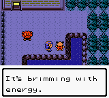 [Pictured: Pictured: In the daycare center yard, with two Pokémon and the dialog box: 'It's brimming with energy.']